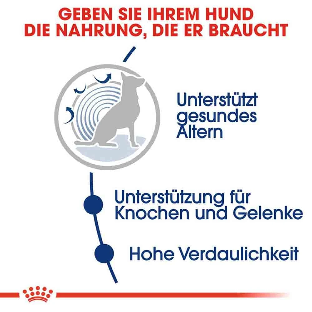 Royal Canin Maxi Ageing 8+ Trockenfutter Für ältere Große Hunde 6 Royal Canin Maxi Ageing 8+ Trockenfutter Für ältere Große Hunde – Bild 4