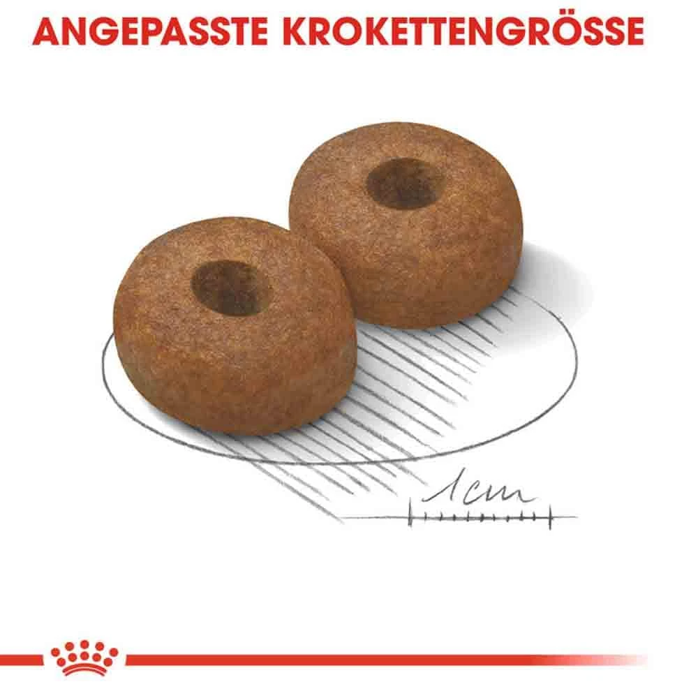 Royal Canin Maxi Ageing 8+ Trockenfutter Für ältere Große Hunde 7 Royal Canin Maxi Ageing 8+ Trockenfutter Für ältere Große Hunde – Bild 5