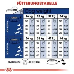 Royal Canin Maxi Ageing 8+ Trockenfutter Für ältere Große Hunde 15 Royal Canin Maxi Ageing 8+ Trockenfutter Für ältere Große Hunde -Haustier Alles Verkaufsgeschäft 0054978 royal canin maxi ageing 8 trockenfutter fur altere grose hunde
