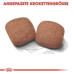 Royal Canin Giant Adult Trockenfutter Für Sehr Große Hunde -Haustier Alles Verkaufsgeschäft 0054981 royal canin giant adult trockenfutter fur sehr grose hunde