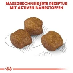 Royal Canin Dental Care Medium Trockenfutter Für Mittelgroße Hunde Mit Empfindlichen Zähnen -Haustier Alles Verkaufsgeschäft 0055051 royal canin dental care medium trockenfutter fur mittelgrose hunde mit empfindlichen zahnen