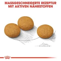 Royal Canin Dermacomfort Medium Trockenfutter Für Mittelgroße Hunde Mit Empfindlicher Haut -Haustier Alles Verkaufsgeschäft 0055070 royal canin dermacomfort medium trockenfutter fur mittelgrose hunde mit empfindlicher haut