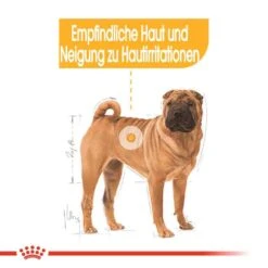Royal Canin Dermacomfort Medium Trockenfutter Für Mittelgroße Hunde Mit Empfindlicher Haut -Haustier Alles Verkaufsgeschäft 0055071 royal canin dermacomfort medium trockenfutter fur mittelgrose hunde mit empfindlicher haut