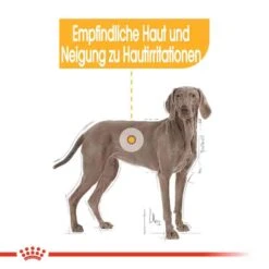 Royal Canin Dermacomfort Maxi Trockenfutter Für Große Hunde Mit Empfindlicher Haut -Haustier Alles Verkaufsgeschäft 0055077 royal canin dermacomfort maxi trockenfutter fur grose hunde mit empfindlicher haut