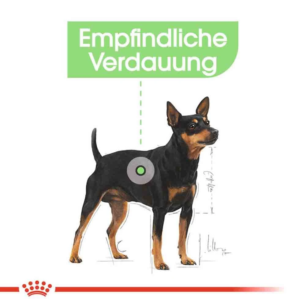 Royal Canin Digestive Care Mini Trockenfutter Für Kleine Hunde Mit Empfindlicher Verdauung 5 Royal Canin Digestive Care Mini Trockenfutter Für Kleine Hunde Mit Empfindlicher Verdauung – Bild 3