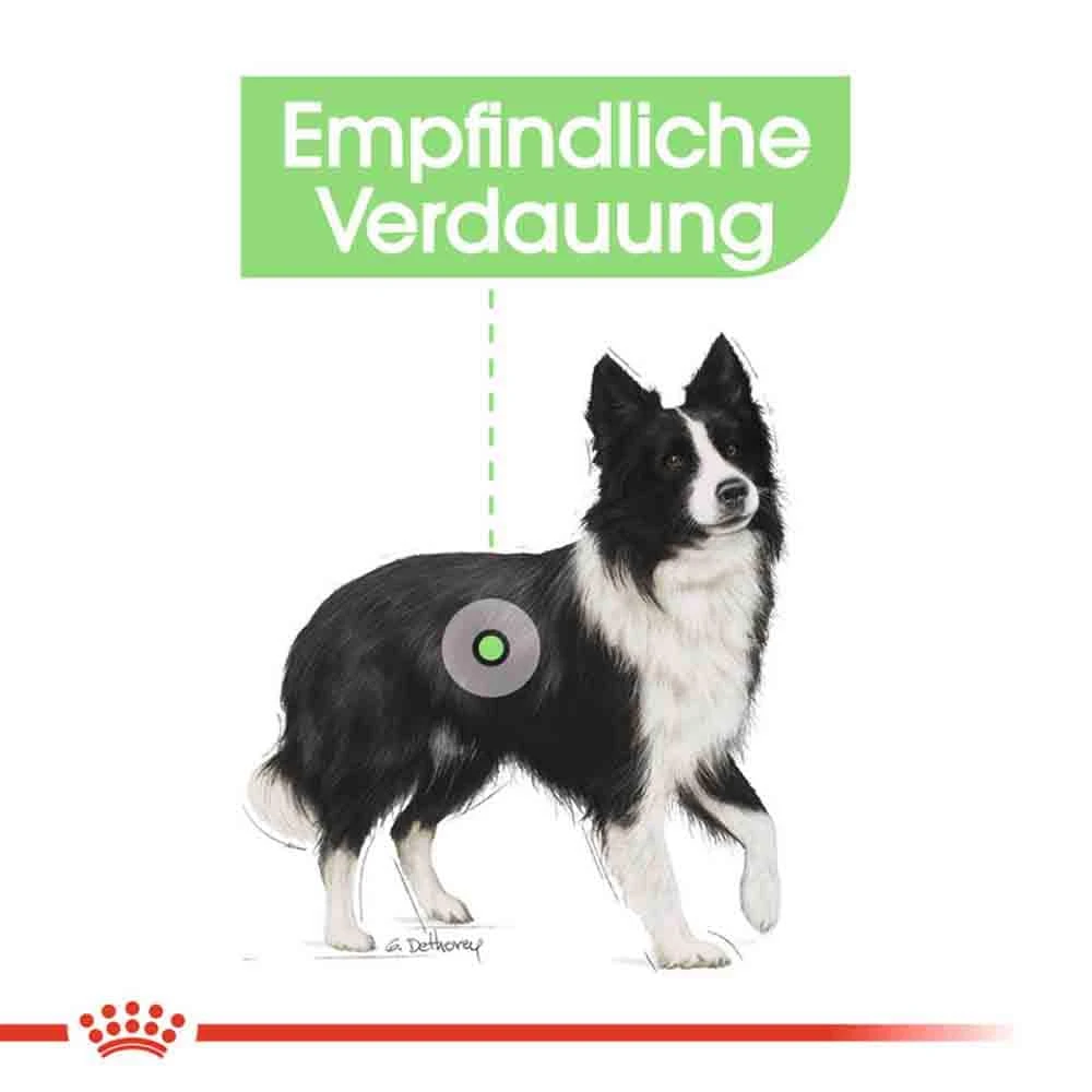 Royal Canin Digestive Care Medium Trockenfutter Für Mittelgroße Hunde Mit Empfindlicher Verdauung 5 Royal Canin Digestive Care Medium Trockenfutter Für Mittelgroße Hunde Mit Empfindlicher Verdauung – Bild 3