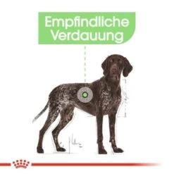 Royal Canin Digestive Care Maxi Trockenfutter Für Große Hunde Mit Empfindlicher Verdauung -Haustier Alles Verkaufsgeschäft 0055093 royal canin digestive care maxi trockenfutter fur grose hunde mit empfindlicher verdauung