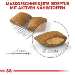 Royal Canin Exigent Mini Trockenfutter Für Wählerische Kleine Hunde -Haustier Alles Verkaufsgeschäft 0055101 royal canin exigent mini trockenfutter fur wahlerische kleine hunde