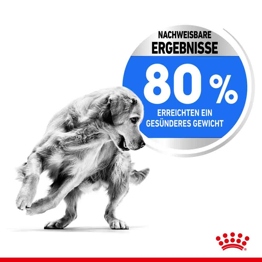 Royal Canin Light Weight Care Medium Trockenfutter Für Zu Übergewicht Neigenden Hunden 6 Royal Canin Light Weight Care Medium Trockenfutter Für Zu Übergewicht Neigenden Hunden – Bild 4