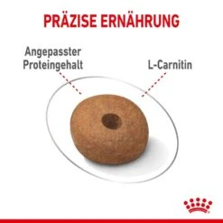 Royal Canin Light Weight Care Medium Trockenfutter Für Zu Übergewicht Neigenden Hunden 14 Royal Canin Light Weight Care Medium Trockenfutter Für Zu Übergewicht Neigenden Hunden -Haustier Alles Verkaufsgeschäft 0055120 royal canin light weight care medium trockenfutter fur zu ubergewicht neigenden hunden