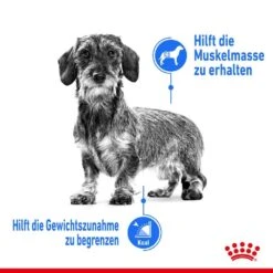 Royal Canin Light Weight Care Mini Trockenfutter Für Zu Übergewicht Neigenden Hunden -Haustier Alles Verkaufsgeschäft 0055123 royal canin light weight care mini trockenfutter fur zu ubergewicht neigenden hunden
