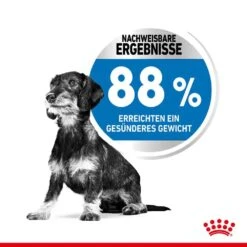 Royal Canin Light Weight Care Mini Trockenfutter Für Zu Übergewicht Neigenden Hunden -Haustier Alles Verkaufsgeschäft 0055127 royal canin light weight care mini trockenfutter fur zu ubergewicht neigenden hunden