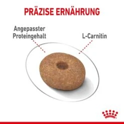 Royal Canin Light Weight Care Mini Trockenfutter Für Zu Übergewicht Neigenden Hunden -Haustier Alles Verkaufsgeschäft 0055128 royal canin light weight care mini trockenfutter fur zu ubergewicht neigenden hunden