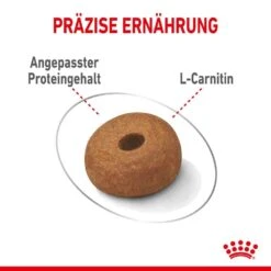 Royal Canin Light Weight Care Maxi Trockenfutter Für Zu Übergewicht Neigenden Hunden 14 Royal Canin Light Weight Care Maxi Trockenfutter Für Zu Übergewicht Neigenden Hunden -Haustier Alles Verkaufsgeschäft 0055141 royal canin light weight care maxi trockenfutter fur zu ubergewicht neigenden hunden