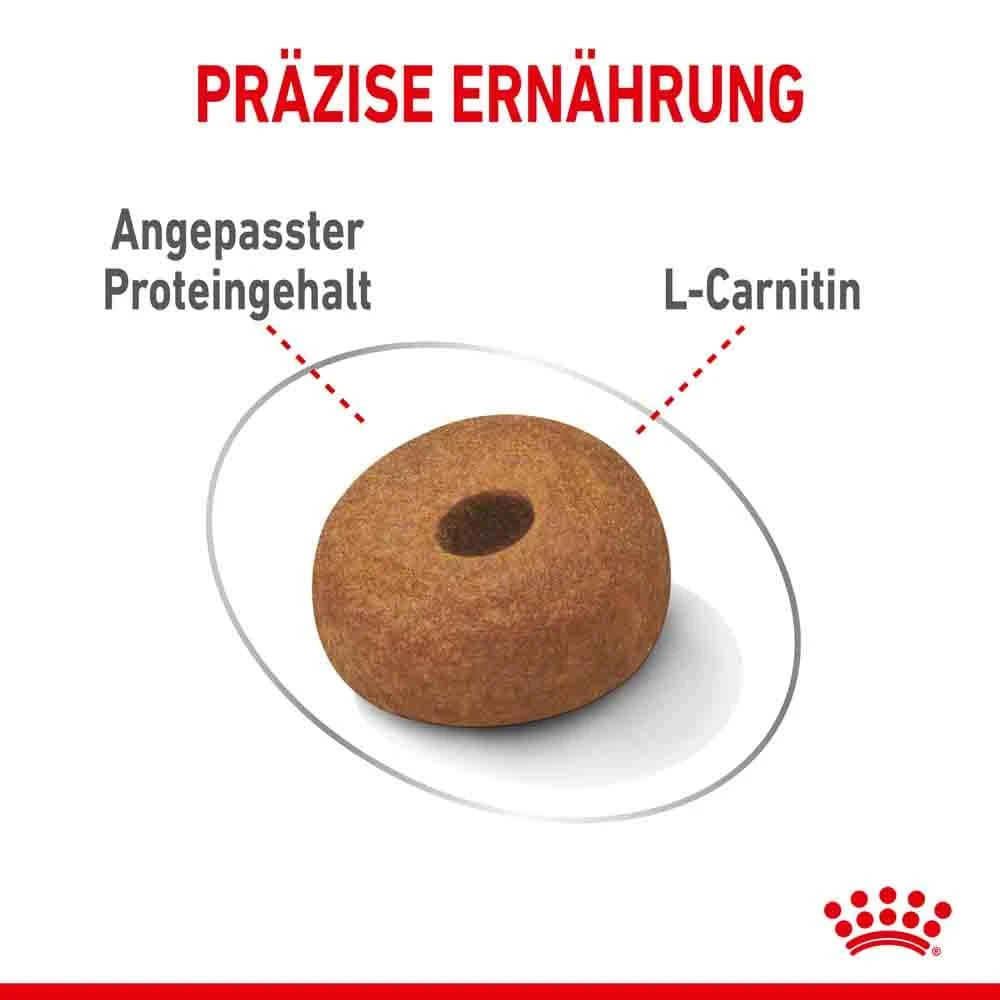 Royal Canin Light Weight Care Maxi Trockenfutter Für Zu Übergewicht Neigenden Hunden 7 Royal Canin Light Weight Care Maxi Trockenfutter Für Zu Übergewicht Neigenden Hunden – Bild 5