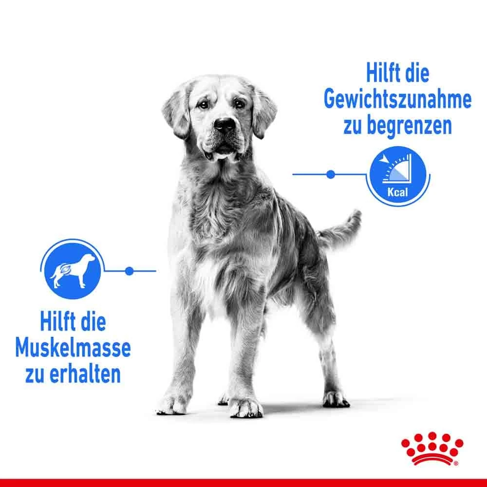 Royal Canin Light Weight Care Maxi Trockenfutter Für Zu Übergewicht Neigenden Hunden 5 Royal Canin Light Weight Care Maxi Trockenfutter Für Zu Übergewicht Neigenden Hunden – Bild 3