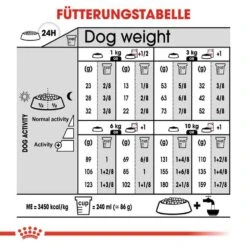 Royal Canin Sterilised Mini Trockenfutter Für Kastrierte Kleine Hunde -Haustier Alles Verkaufsgeschäft 0055155 royal canin sterilised mini trockenfutter fur kastrierte kleine hunde