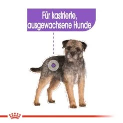 Royal Canin Sterilised Mini Trockenfutter Für Kastrierte Kleine Hunde -Haustier Alles Verkaufsgeschäft 0055162 royal canin sterilised mini trockenfutter fur kastrierte kleine hunde