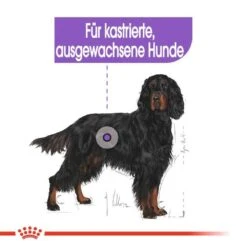 Royal Canin Sterilised Maxi Trockenfutter Für Kastrierte Große Hunde -Haustier Alles Verkaufsgeschäft 0055166 royal canin sterilised maxi trockenfutter fur kastrierte grose hunde