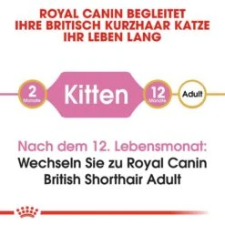 Royal Canin British Shorthair Kittenfutter Trocken Für BKH Kätzchen -Haustier Alles Verkaufsgeschäft 0055235 royal canin british shorthair kittenfutter trocken fur bkh katzchen