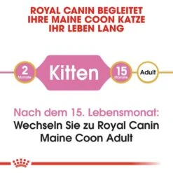 Royal Canin Maine Coon Trockenfutter Für Kätzchen -Haustier Alles Verkaufsgeschäft 0055243 royal canin maine coon trockenfutter fur katzchen