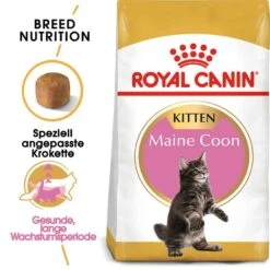 Royal Canin Maine Coon Trockenfutter Für Kätzchen