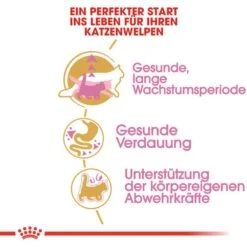 Royal Canin Maine Coon Trockenfutter Für Kätzchen -Haustier Alles Verkaufsgeschäft 0055246 royal canin maine coon trockenfutter fur katzchen