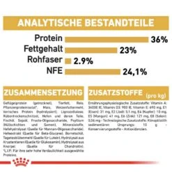 Royal Canin Maine Coon Trockenfutter Für Kätzchen -Haustier Alles Verkaufsgeschäft 0055248 royal canin maine coon trockenfutter fur katzchen
