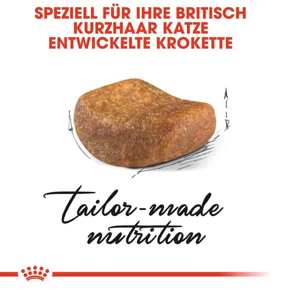 Royal Canin British Shorthair Katzenfutter Trocken Für Britisch Kurzhaar 7 Royal Canin British Shorthair Katzenfutter Trocken Für Britisch Kurzhaar – Bild 5