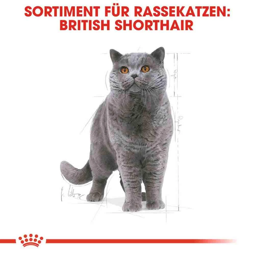 Royal Canin British Shorthair Katzenfutter Trocken Für Britisch Kurzhaar 5 Royal Canin British Shorthair Katzenfutter Trocken Für Britisch Kurzhaar – Bild 3