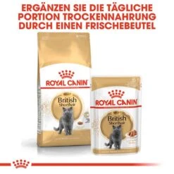 Royal Canin British Shorthair Katzenfutter Trocken Für Britisch Kurzhaar 16 Royal Canin British Shorthair Katzenfutter Trocken Für Britisch Kurzhaar -Haustier Alles Verkaufsgeschäft 0055251 royal canin british shorthair katzenfutter trocken fur britisch kurzhaar