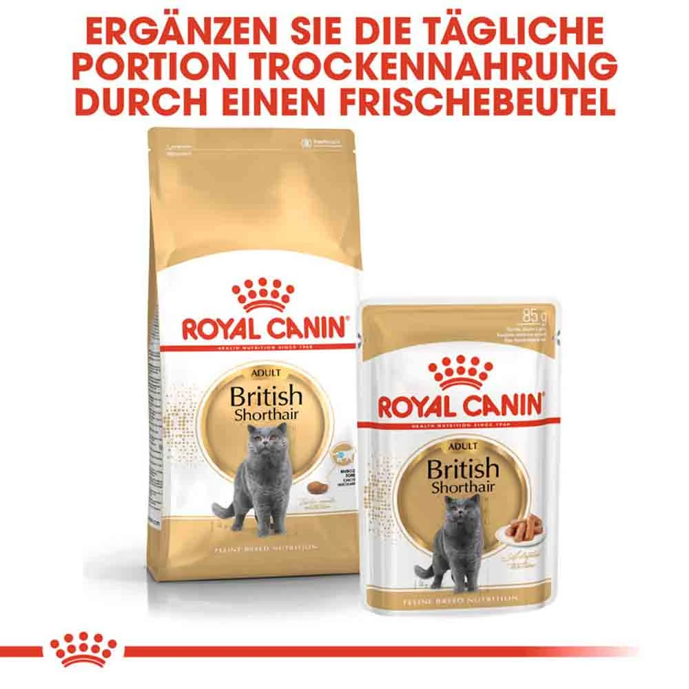 Royal Canin British Shorthair Katzenfutter Trocken Für Britisch Kurzhaar 9 Royal Canin British Shorthair Katzenfutter Trocken Für Britisch Kurzhaar – Bild 7