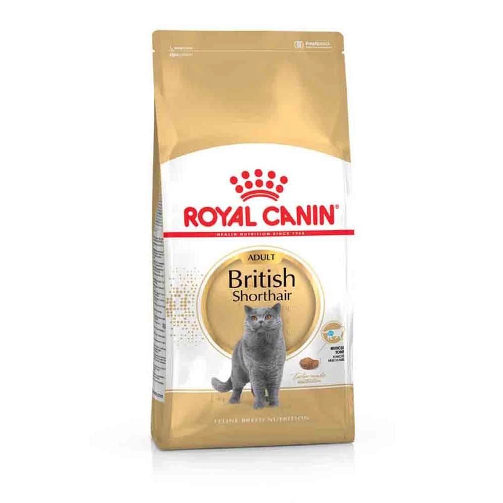 Royal Canin British Shorthair Katzenfutter Trocken Für Britisch Kurzhaar 4 Royal Canin British Shorthair Katzenfutter Trocken Für Britisch Kurzhaar – Bild 2