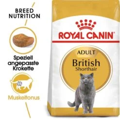 Royal Canin British Shorthair Katzenfutter Trocken Für Britisch Kurzhaar