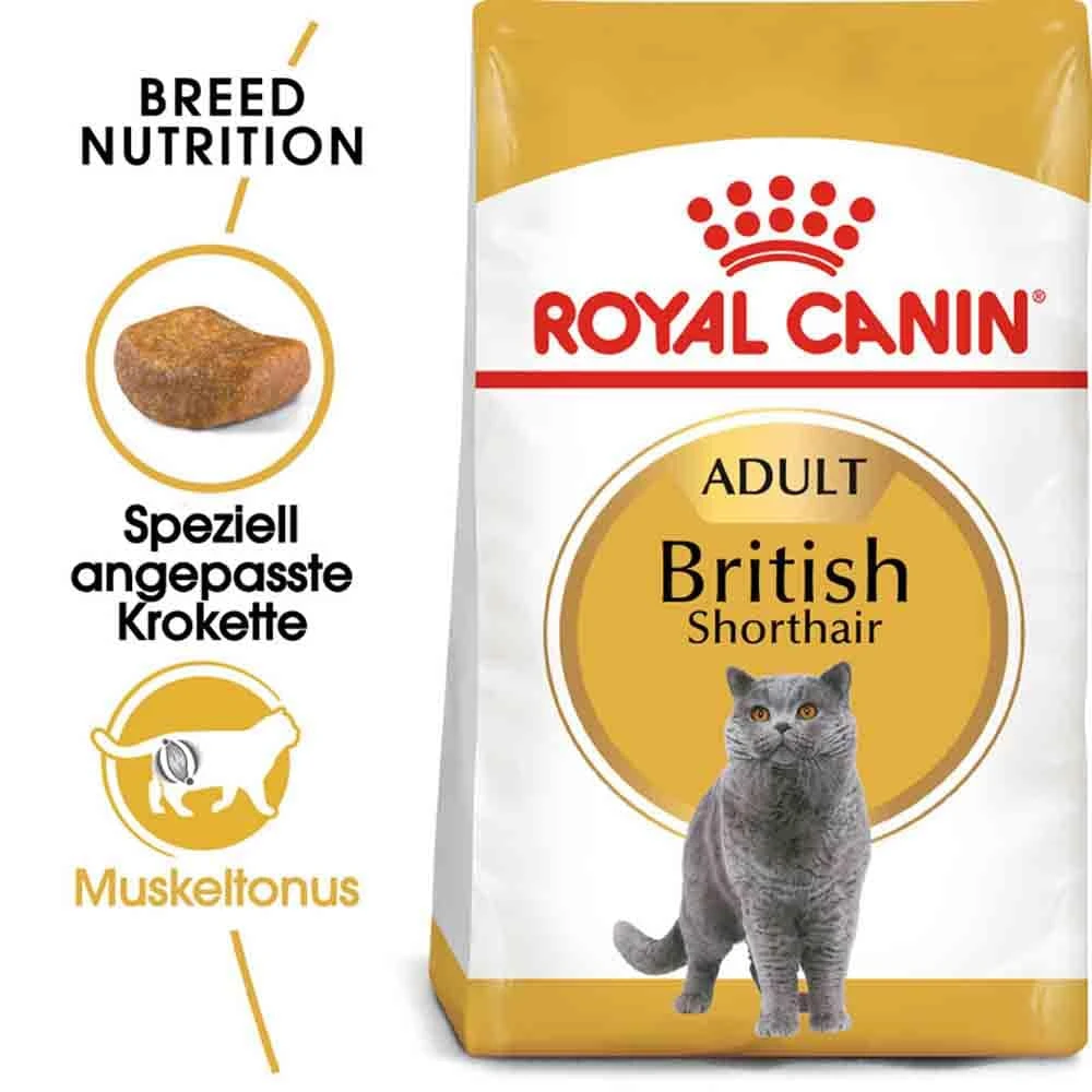 Royal Canin British Shorthair Katzenfutter Trocken Für Britisch Kurzhaar 3 Royal Canin British Shorthair Katzenfutter Trocken Für Britisch Kurzhaar