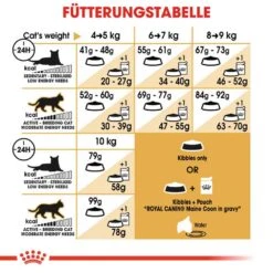 Royal Canin Maine Coon Adult Katzenfutter Trocken -Haustier Alles Verkaufsgeschäft 0055259 royal canin maine coon adult katzenfutter trocken