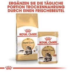 Royal Canin Maine Coon Adult Katzenfutter Trocken -Haustier Alles Verkaufsgeschäft 0055262 royal canin maine coon adult katzenfutter trocken