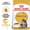 Royal Canin Maine Coon Adult Katzenfutter Trocken -Haustier Alles Verkaufsgeschäft 0055263 royal canin maine coon adult katzenfutter trocken