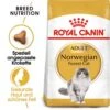 Royal Canin Norwegian Forest Cat Adult Trockenfutter Für Norwegische Waldkatzen -Haustier Alles Verkaufsgeschäft 0055267 royal canin norwegian forest cat adult trockenfutter fur norwegische waldkatzen