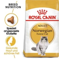 Royal Canin Norwegian Forest Cat Adult Trockenfutter Für Norwegische Waldkatzen