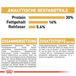 Royal Canin Norwegian Forest Cat Adult Trockenfutter Für Norwegische Waldkatzen -Haustier Alles Verkaufsgeschäft 0055269 royal canin norwegian forest cat adult trockenfutter fur norwegische waldkatzen