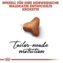 Royal Canin Norwegian Forest Cat Adult Trockenfutter Für Norwegische Waldkatzen -Haustier Alles Verkaufsgeschäft 0055270 royal canin norwegian forest cat adult trockenfutter fur norwegische waldkatzen