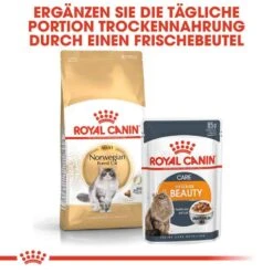 Royal Canin Norwegian Forest Cat Adult Trockenfutter Für Norwegische Waldkatzen -Haustier Alles Verkaufsgeschäft 0055271 royal canin norwegian forest cat adult trockenfutter fur norwegische waldkatzen