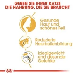 Royal Canin Norwegian Forest Cat Adult Trockenfutter Für Norwegische Waldkatzen -Haustier Alles Verkaufsgeschäft 0055272 royal canin norwegian forest cat adult trockenfutter fur norwegische waldkatzen