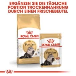 Royal Canin Persian Adult Trockenfutter Für Perser-Katzen -Haustier Alles Verkaufsgeschäft 0055277 royal canin persian adult trockenfutter fur perser katzen