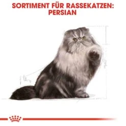 Royal Canin Persian Adult Trockenfutter Für Perser-Katzen -Haustier Alles Verkaufsgeschäft 0055278 royal canin persian adult trockenfutter fur perser katzen
