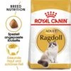Royal Canin Ragdoll Adult Katzenfutter Trocken