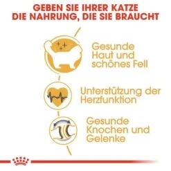 Royal Canin Ragdoll Adult Katzenfutter Trocken -Haustier Alles Verkaufsgeschäft 0055285 royal canin ragdoll adult katzenfutter trocken