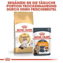 Royal Canin Ragdoll Adult Katzenfutter Trocken -Haustier Alles Verkaufsgeschäft 0055286 royal canin ragdoll adult katzenfutter trocken