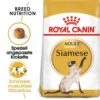 Royal Canin Siamese Adult Katzenfutter Trocken -Haustier Alles Verkaufsgeschäft 0055291 royal canin siamese adult katzenfutter trocken